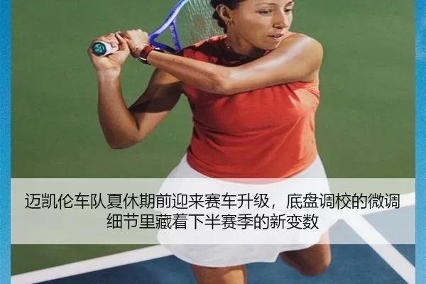 mai-kai-lun-che-dui-xia-xiu-qi-qian-ying-lai-sai-che-sheng-ji-di-pan-diao-xiao-de-wei-diao-xi-jie-li-cang-zhe-xia-ban-2-413.jpg